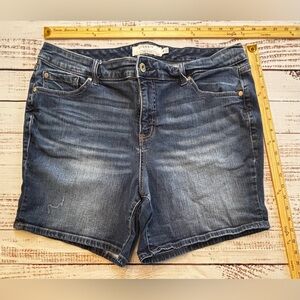 Torrid Denim Shorts